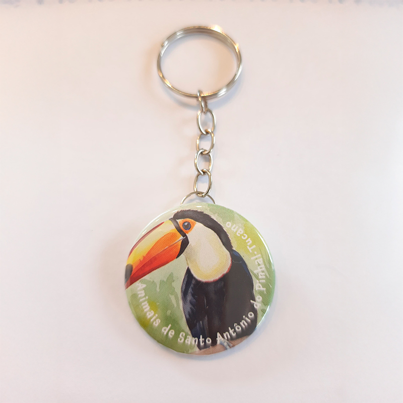 Chaveiro - Fauna de Sto Antônio do Pinhal